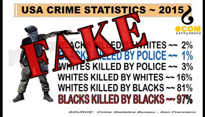 FAKE- USA Crime Statistics from 2015